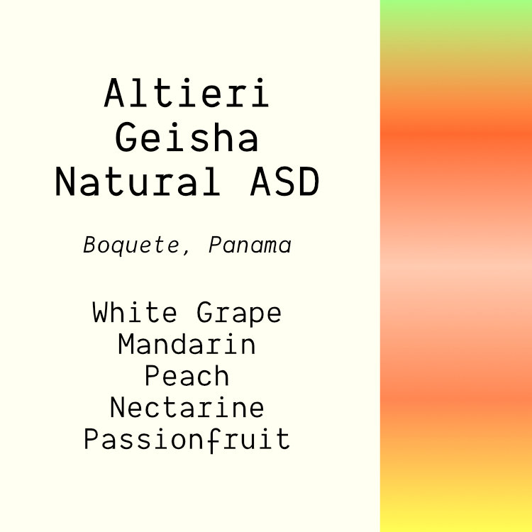 Altieri Geisha Natural ASD