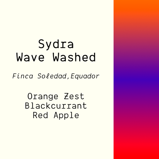 Finca Soledad - Sydra Wave Washed