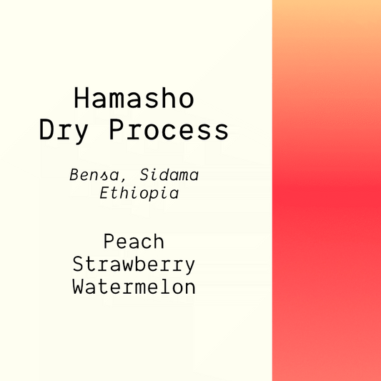 Hamasho, Ethiopia - Dry Process