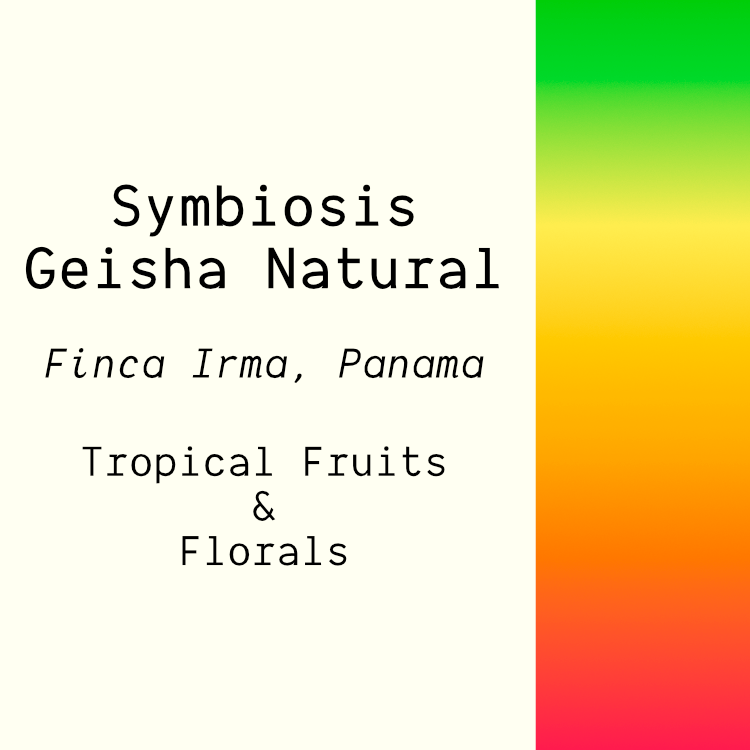 Symbiosis Finca Irma Geisha Natural