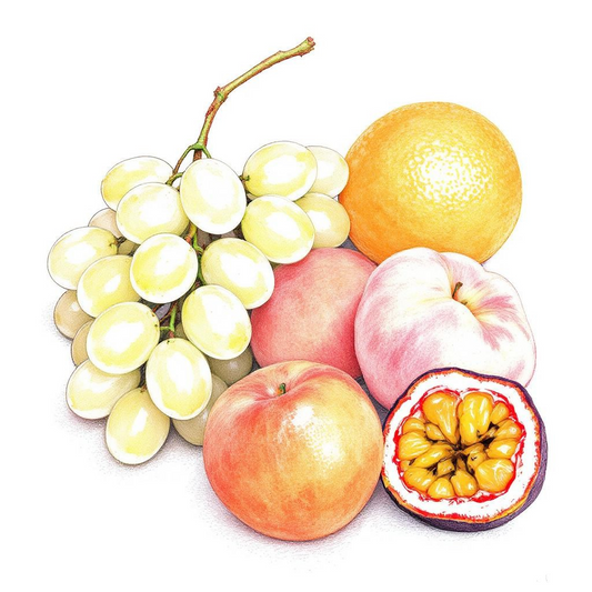 Altieri Geisha Natural ASD